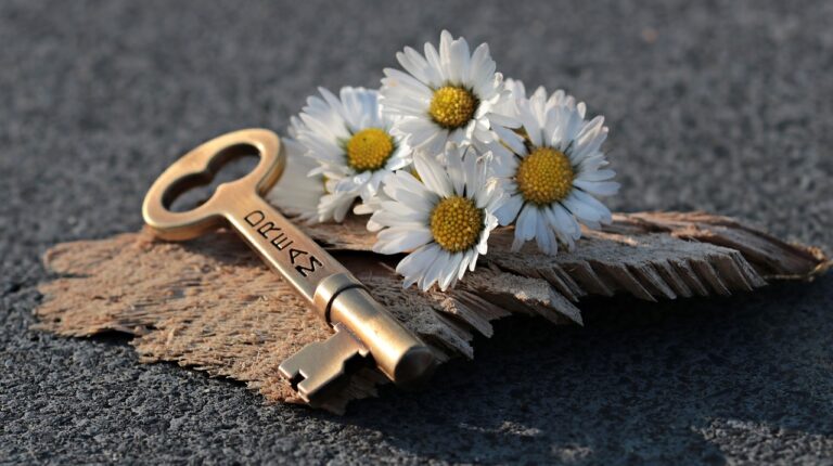 key, heart, daisy-3087900.jpg